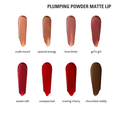 plumping powder matte lip & lip liner duo