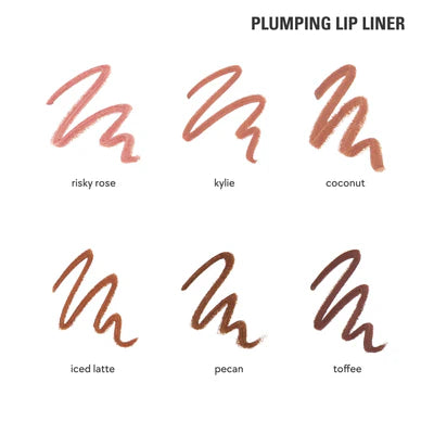 plumping powder matte lip & lip liner duo